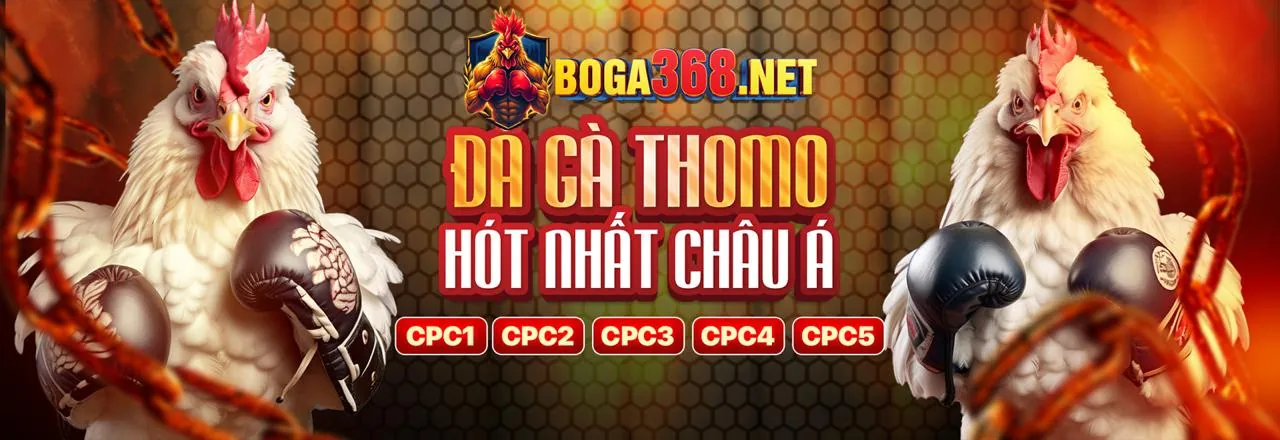 Đá gà trực tuyến kịch tính tại oke365 nổ hũ